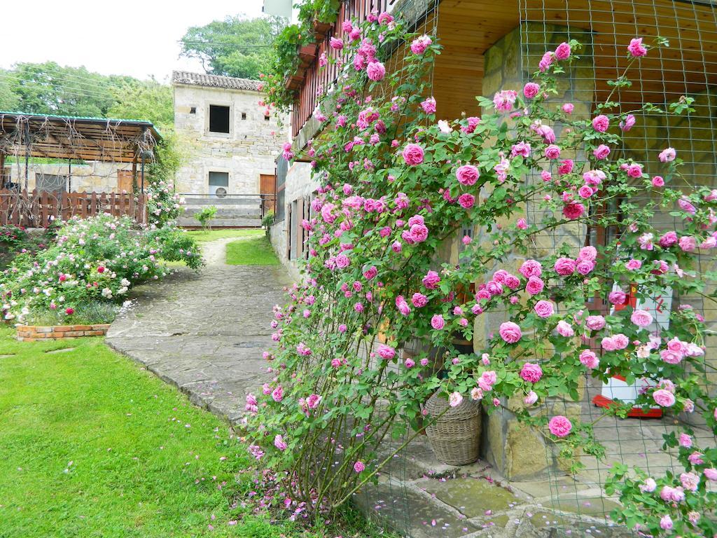 The Hug Of Nature Dekani Exterior photo