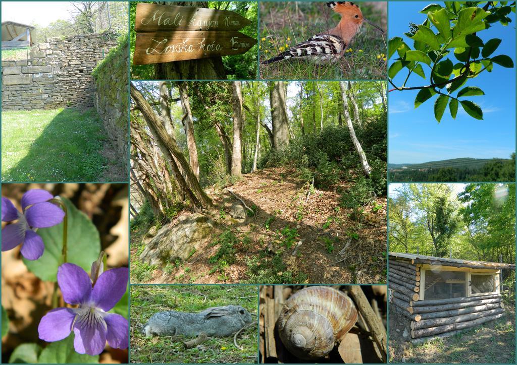 The Hug Of Nature Dekani Exterior photo